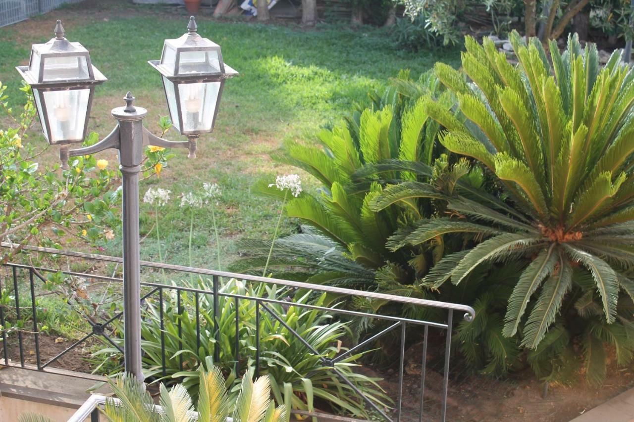קטאניה Bouganville מראה חיצוני תמונה